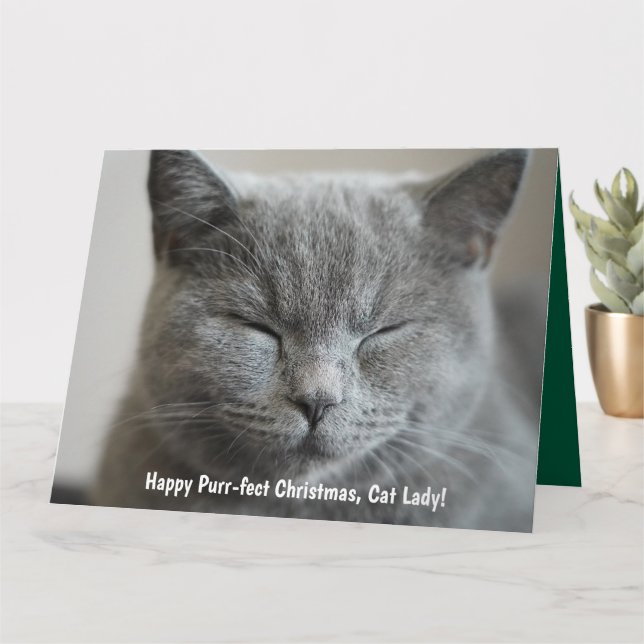 Custom Cute Grey Kitty Photo Purr-fect Christmas Card (Small Plant)