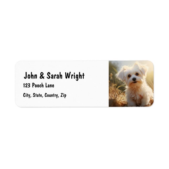 Custom Cute Maltese Dog Address Label (Front)