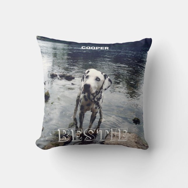Custom Cute Pet Friend Photo Upload Bestie Image Throw Pillow (Front)
