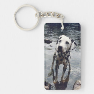Custom Cute Pet Friend Photo Upload Dog Image Keychain