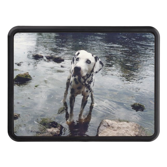 Custom Cute Pet Friend Photo Upload Dog Image Trailer Hitch Cover (Front)
