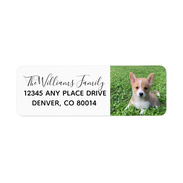 Custom Cute Pet Photo Dog Owner Photograph (Front)