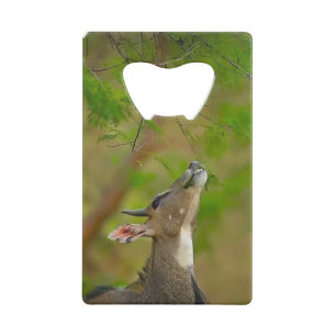 Custom deer credit card bottle opener