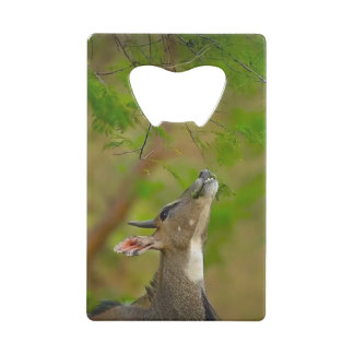 Custom deer credit card bottle opener