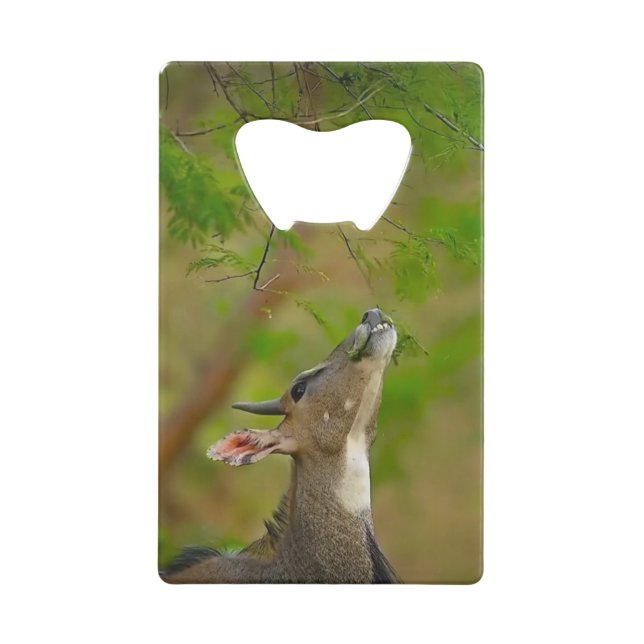 Custom deer credit card bottle opener (Front)