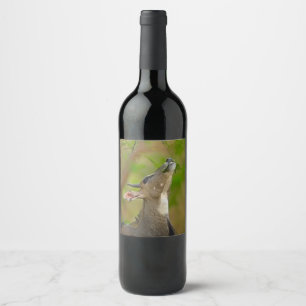 Custom deer wine label