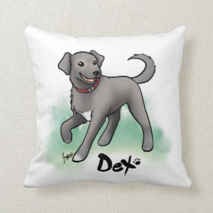 Custom - Dex Pillow