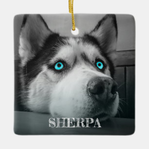 Custom Dog 2 Photos Personalized Ceramic Ornament