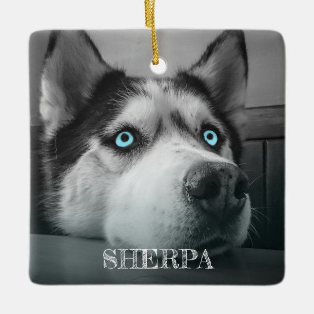 Custom Dog 2 Photos Personalized Ceramic Ornament (Front)