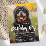 Custom Dog Birthday Pet Photo Party Invitation Postcard<br><div class="desc">Birthday Boy! Invite friends and family to your puppy or dog birthday party with this simple pet photo birthday boy design dog birthday invitation card. Add your pup's favourite photo and personalize with name, birthday number, and all dog birthday party info! Change to Birthday Girl of a girl pup. Visit...</div>