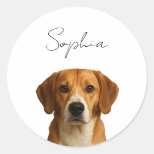 Custom Dog Christmas   Personalized Pet Photo  Classic Round Sticker