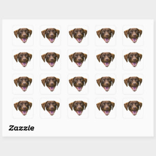 Custom Dog Face Sticker, Dog Lover Gifts, Dog Mom Square Sticker