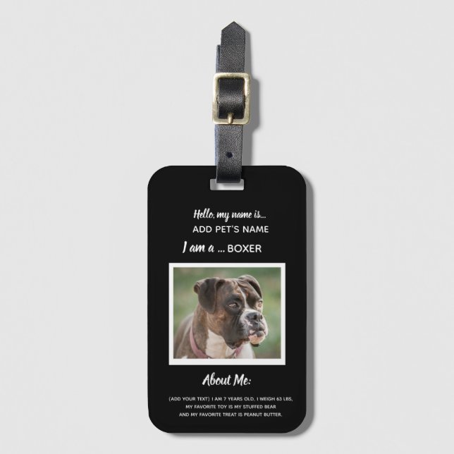 Custom Dog ID Tags (Front Vertical)