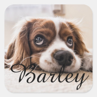 Custom Dog Name Design – Personalized Dog Lover Gi Square Sticker