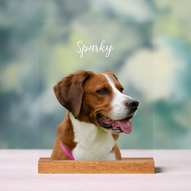 Custom Dog Name Photo Memorial Portrait Acrylic Sign (Neutral)