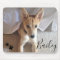 Custom Dog Pet Photo and Script Name Pawprints