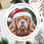 Custom Dog Photo Christmas Card Return Address  Classic Round Sticker<br><div class="desc">Celebrate the holiday season with our delightful Round Photo Return Address Labels, perfect for adding a personal touch to your Christmas cards and greetings. Designed with simplicity and modern flair, these labels feature a charming round shape that beautifully frames your family's photo or a delightful snapshot of your beloved pets,...</div>