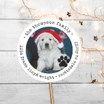 Custom Dog Photo Christmas Card Return Address Classic Round Sticker<br><div class="desc">Add a personalized touch to your holiday cards with the Custom Dog Photo Christmas Card Return Address Classic Round Sticker. Designed for pet lovers, these dog return address labels feature your favourite dog photo, paired with a cute dog paw detail, creating an adorable and unique way to seal your envelopes....</div>