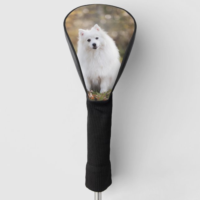 Custom Dog Photo  Golf Head Cover (Front)