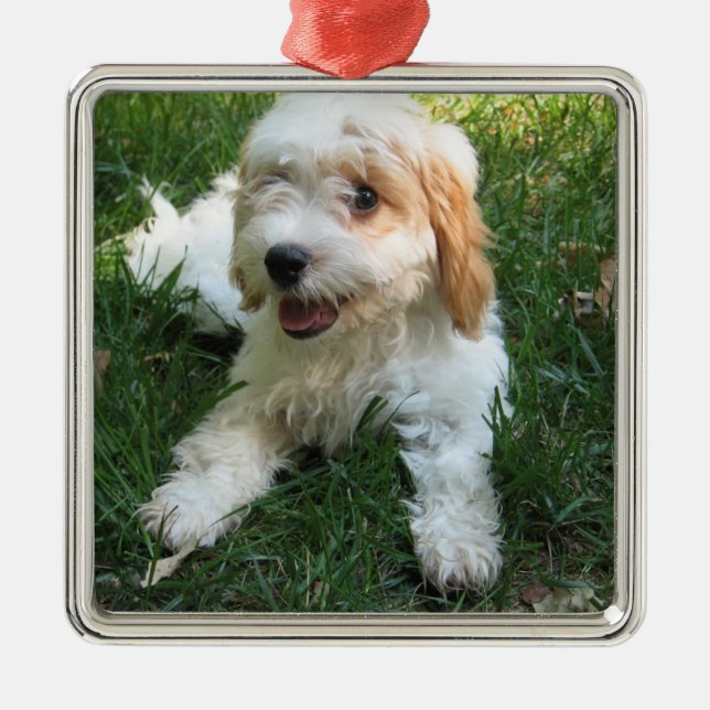 Custom Dog Photo Metal Ornament (Front)