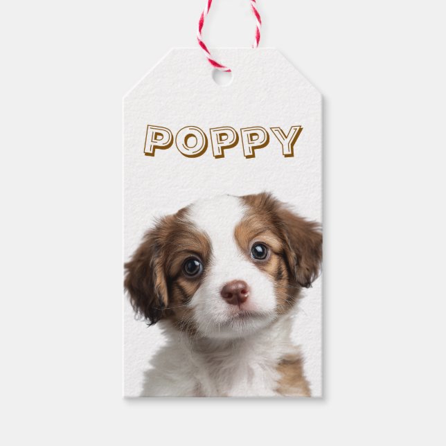 Custom Dog Photo & Name Food Gift Tag (Front)