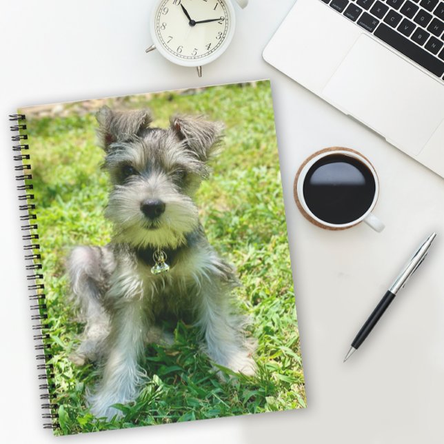 Custom Dog Photo Notebook (Add your own favorite pet photo to this notebook or enjoy this cute Schnauzer puppy.)