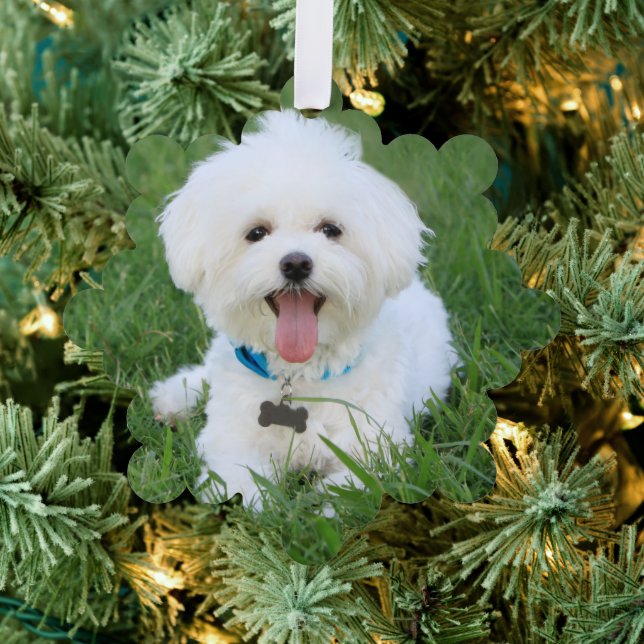 Custom Dog Photo Ornament Red Card (Insitu (Tree))
