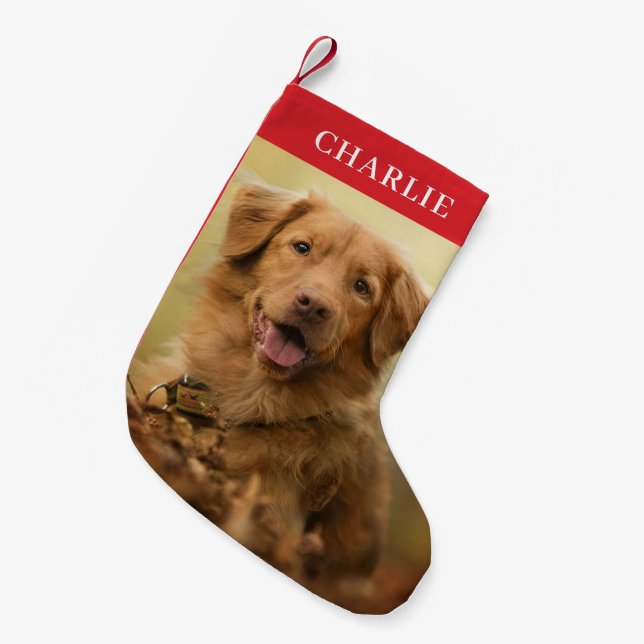 Custom Dog Photo Personalized Pet Small Christmas Stocking (Front (Hanging))