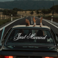 Custom Elegant Just Married Car Wedding Banner