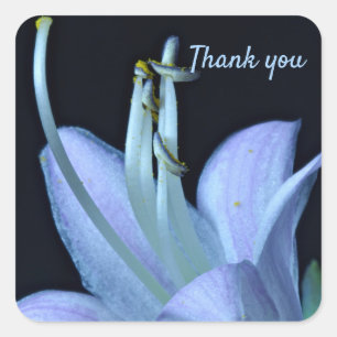 Custom Elegant Lavender Blue Flower Thank You Square Sticker