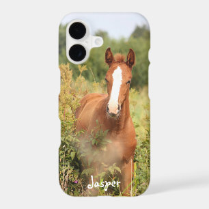Custom Equestrian Horse Photo