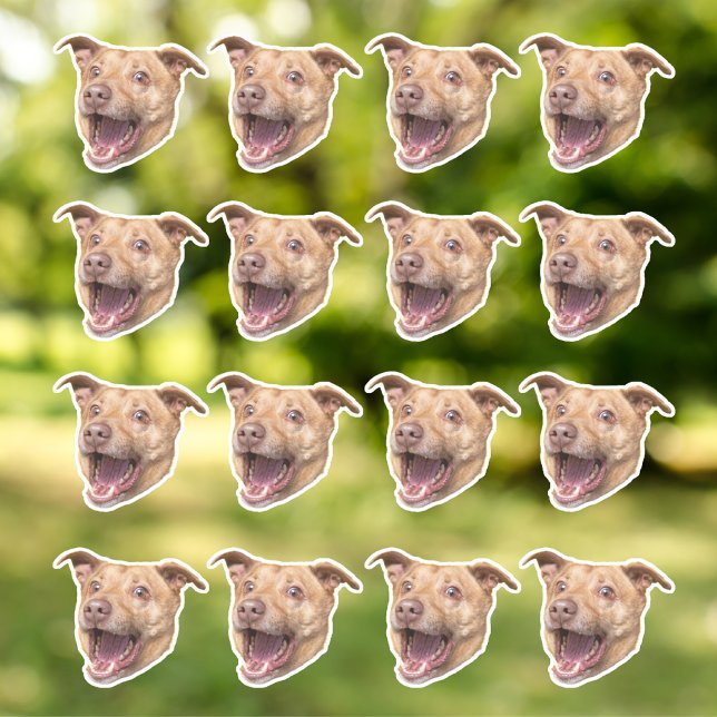 Custom Face Stickers, Photo Stickers, Stickers Dog (Creator Uploaded)