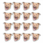 Custom Face Stickers, Photo Stickers, Stickers Dog<br><div class="desc">Personalized Cute Face Stickers, Replace the face of this dog with your favourite photo (make sure to crop as much to the face as possible and use an app to remove the background) and personalize this funny face gift with your kid, husband, or boyfriend on it! Also a fun and...</div>