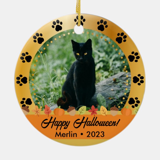 Custom Fall Halloween Photo Name Year Pet Ornament (Back)
