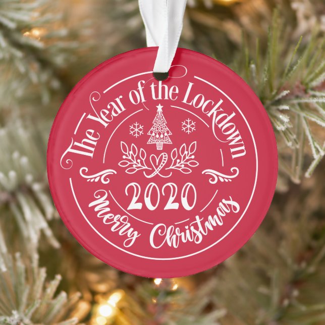 Custom Family Name Funny 2020 Christmas Holiday Ornament (Tree)