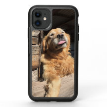 Custom Family Pet Photo Adorable Golden Retriever