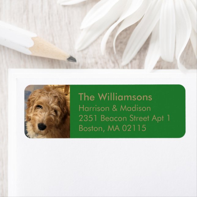 Custom family photo gold and green Return Address (Insitu)