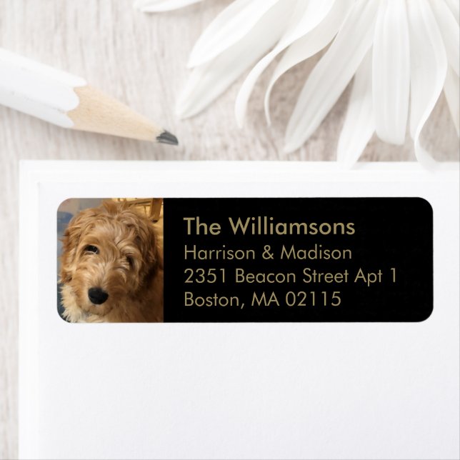 Custom family photo gold black Return Address (Insitu)