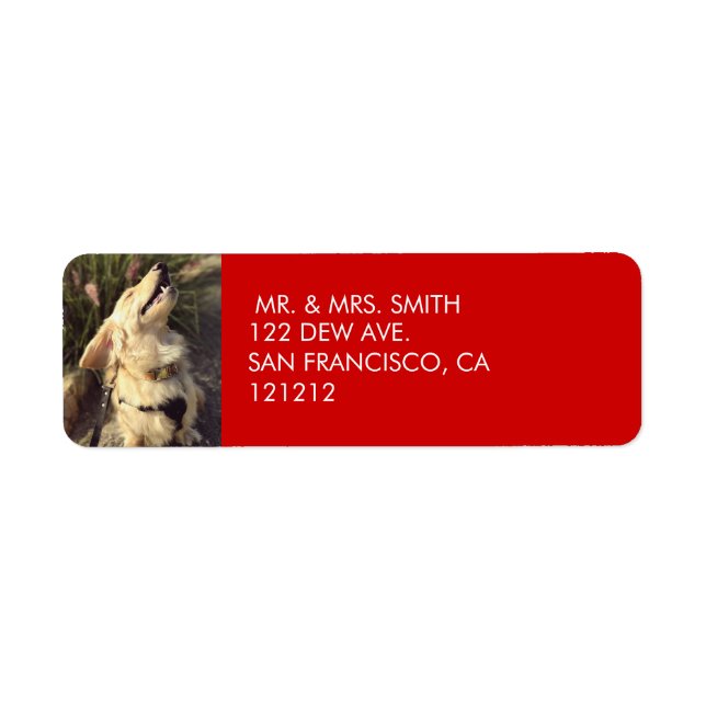 Custom Festive Red Dog Christmas Return Address (Front)