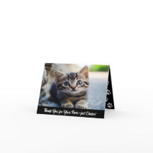 Custom Folded Thank You Card for Cattery 