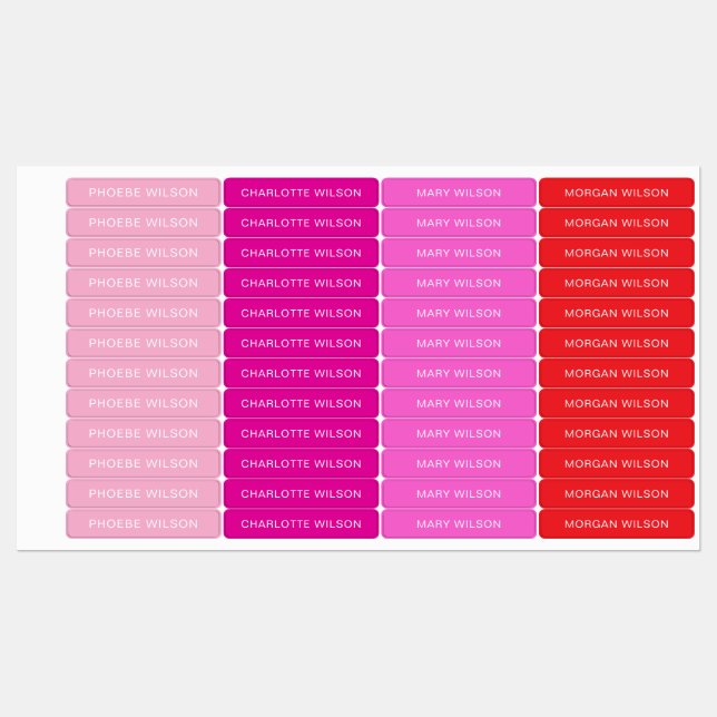 Custom Four Name School Daycare Tag Overlay (Sheet)