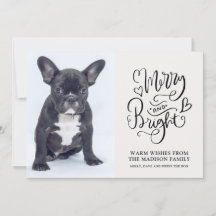 Custom French Bulldog Puppy Merry And Bright Photo