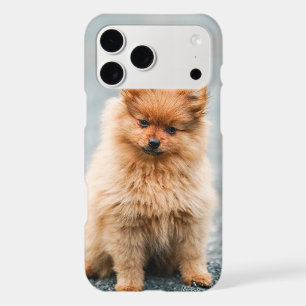 Custom Full Photo Top Dark Text Personalized