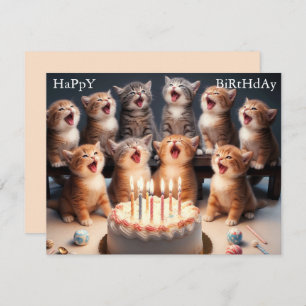 Custom Funny Kitten Happy Birthday Greeting Card