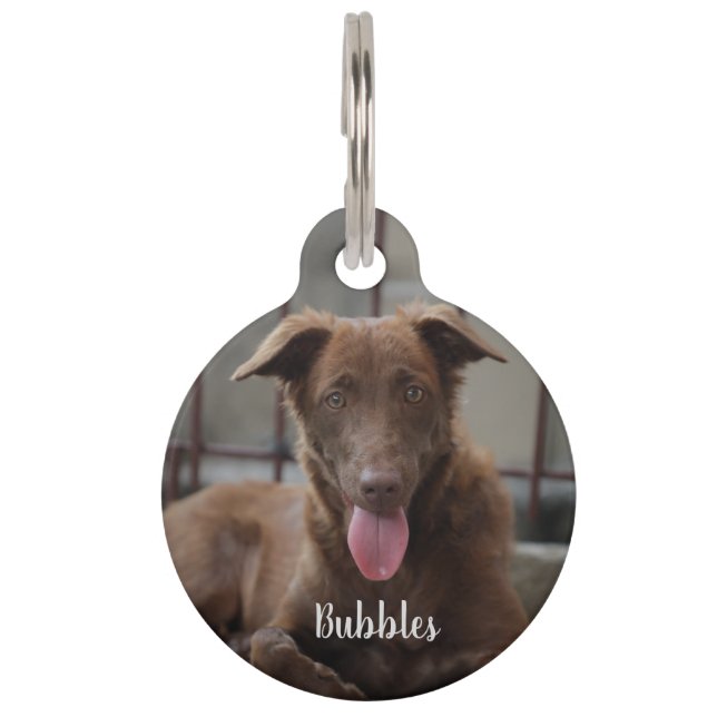 CUSTOM Fur Baby Pet Name Tag (Front)