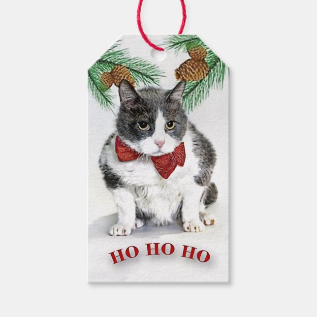 Custom Gift Tags featuring Grumpy Felix (Front)