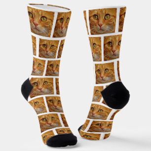 Custom Ginger Tabby Cat Photo on White Crew Socks