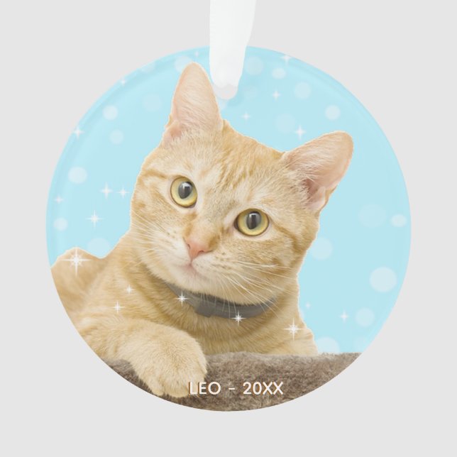Custom Ginger Tabby Cat Photo Ornament (Front)