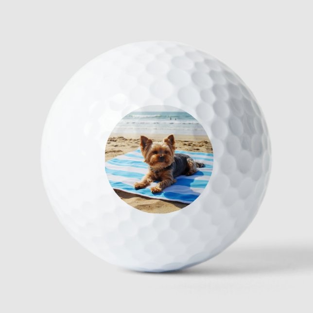 custom golf ball set- Yorkie dad- yorkie mom (Front)