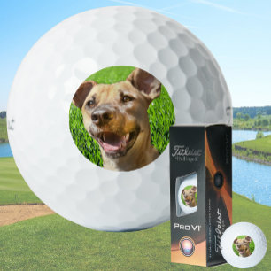 Custom Golf Balls With Dog Picture Create Your Own